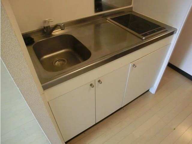 ��ʌ�����s��ԑ�Q���ڂ̃A�p�[�g�̃L�b�`��