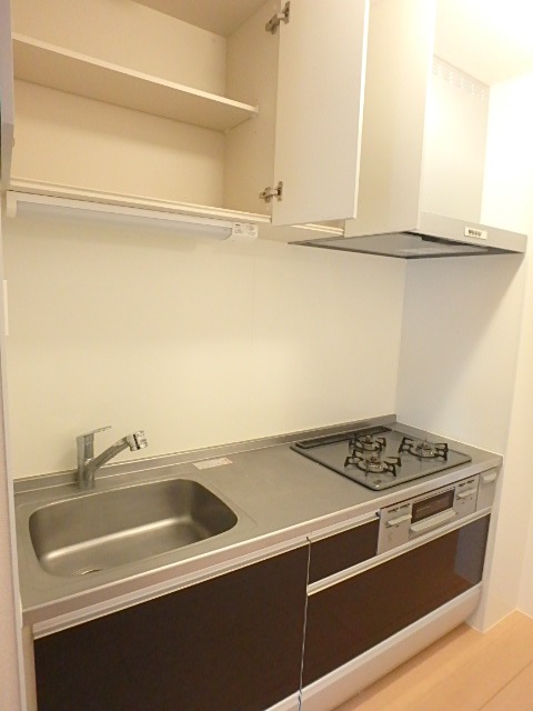 ��ʌ��������܎s�Y�a�挳���Q���ڂ̃A�p�[�g�̃L�b�`��