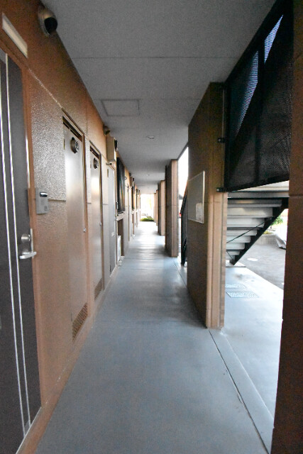 ��ʌ��z�J�s���C�N�^�E���Q���ڂ̃A�p�[�g�̃G���g�����X