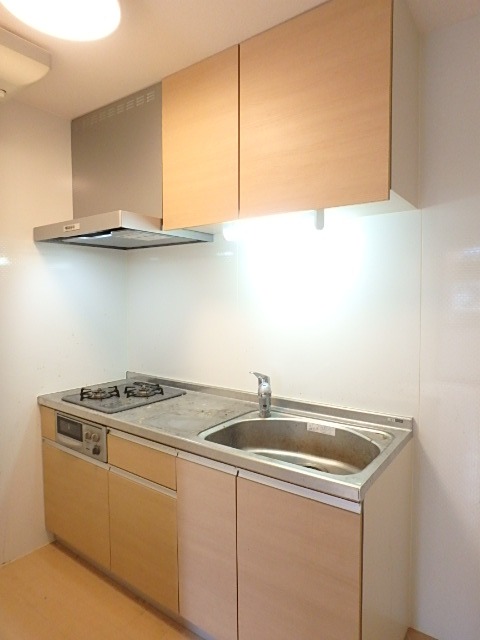 ��ʌ��������܎s��{����ؒ��Q���ڂ̃A�p�[�g�̃L�b�`��