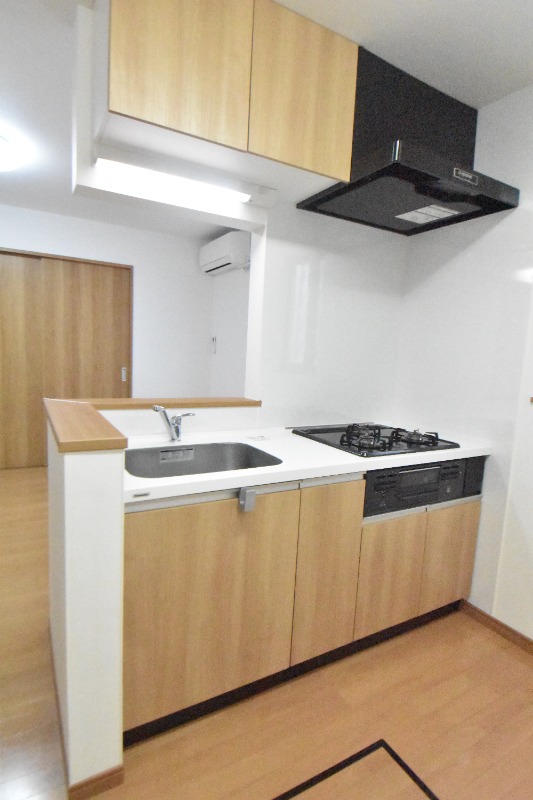 ��ʌ��������܎s��΋���q�P���ڂ̃A�p�[�g�̃L�b�`��