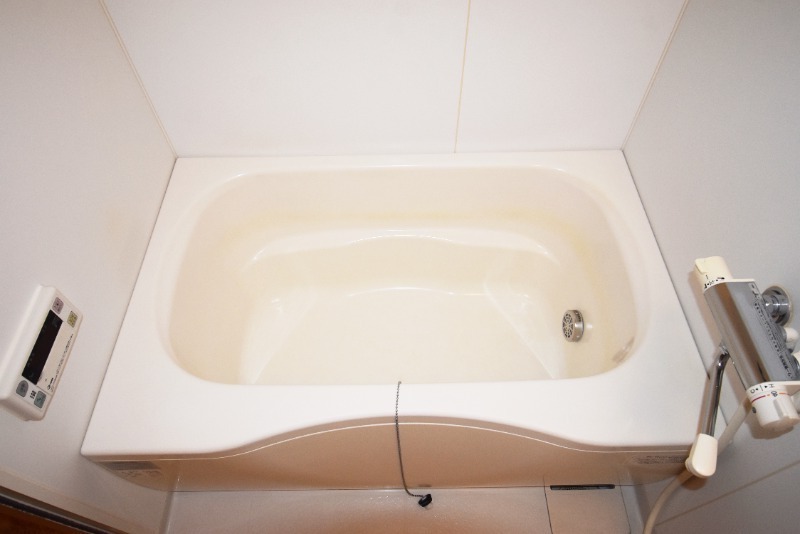 ��ʌ��������܎s�k��~�͒��̃}���V�����̃o�X