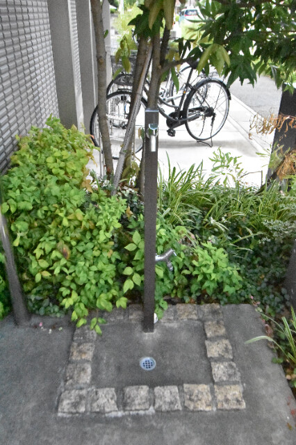 ��ʌ��������܎s�k��g�쒬�P���ڂ̃}���V�����̂��̑�