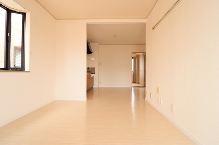 ��ʌ��k�����S�ɓޒ��h�T���ڂ̃A�p�[�g�̋��ԁE���r���O