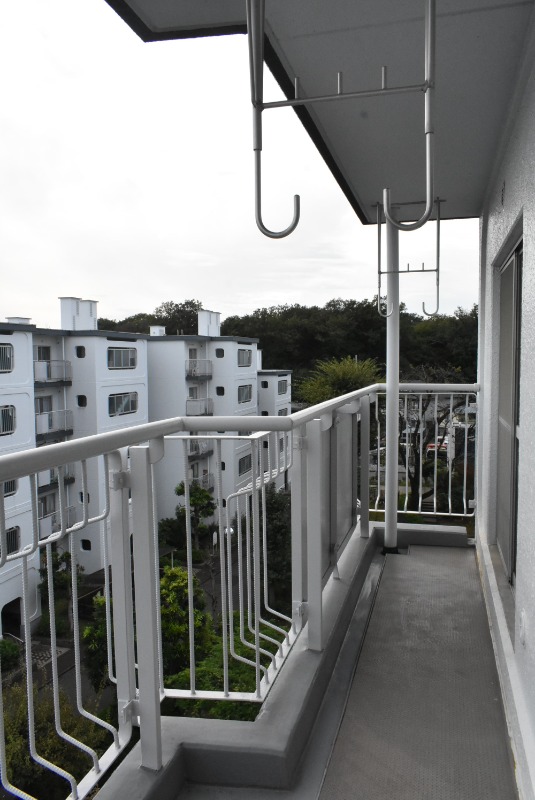 ��ʌ�����s����w���R���ڂ̃}���V�����̃o���R�j�[