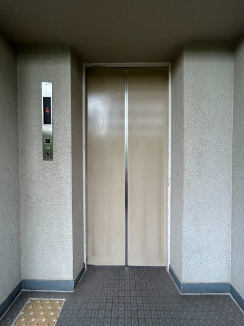 ��ʌ���z�s�e�c�{���̃}���V�����̂��̑�