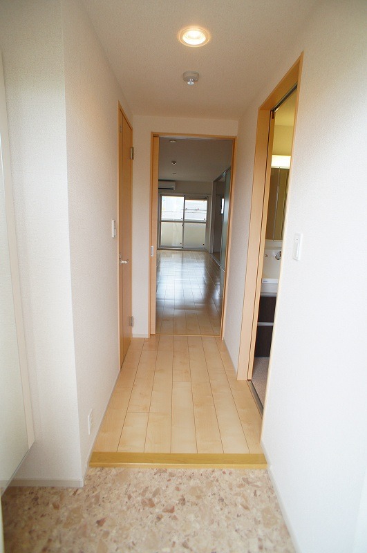 ��ʌ��z�J�s���C�N�^�E���U���ڂ̃}���V�����̌���