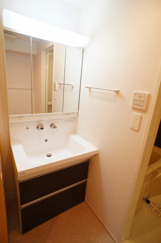 ��ʌ��z�J�s���C�N�^�E���U���ڂ̃}���V�����̐��ʏ�