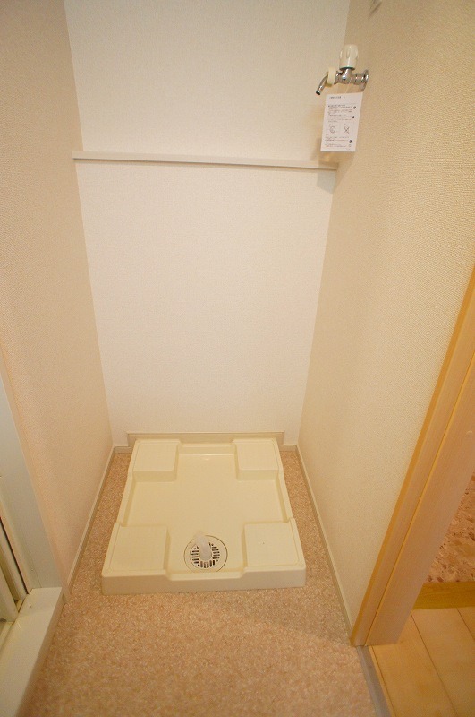 ��ʌ��z�J�s���C�N�^�E���U���ڂ̃}���V�����̂��̑�