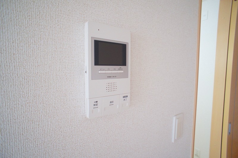 ��ʌ��z�J�s���C�N�^�E���U���ڂ̃}���V�����̂��̑�