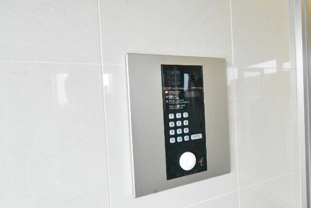 ��ʌ��z�J�s���C�N�^�E���U���ڂ̃}���V�����̂��̑�