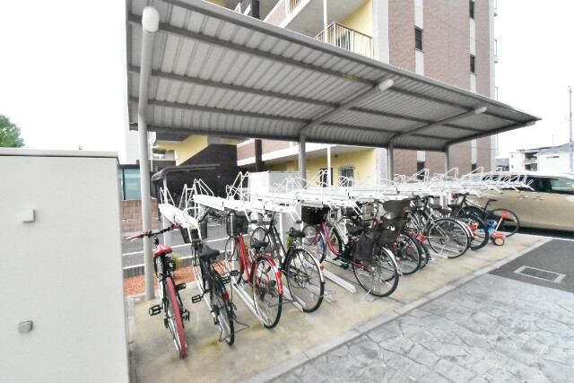 ��ʌ��z�J�s���C�N�^�E���U���ڂ̃}���V�����̂��̑�