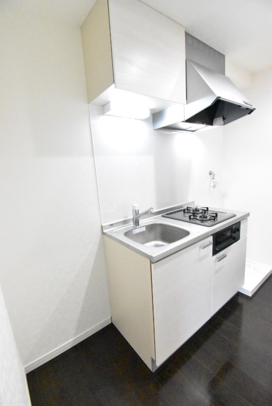 ��ʌ�����s�≺���Q���ڂ̃A�p�[�g�̃L�b�`��