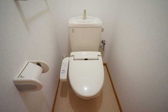 ��ʌ��k�����S�ɓޒ��厚�����̃A�p�[�g�̃g�C��