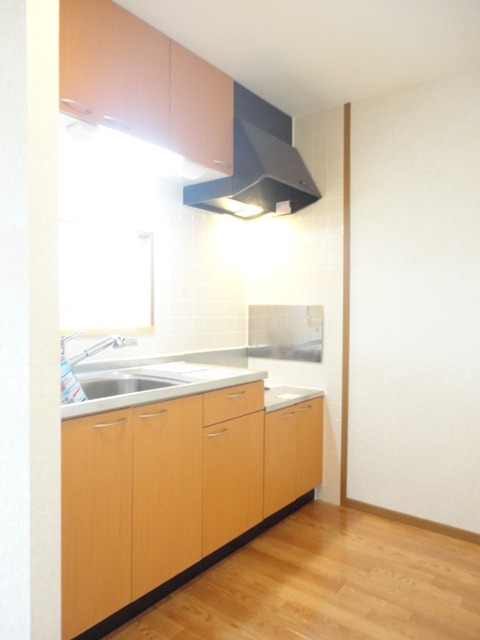 ��ʌ��������܎s�k����i���Q���ڂ̃A�p�[�g�̃L�b�`��