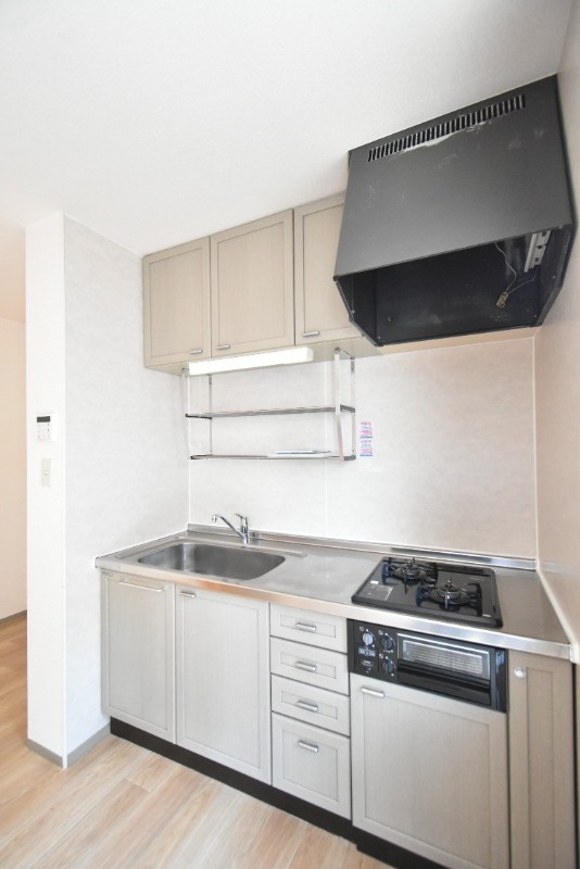 ��ʌ��������܎s������㗎���Q���ڂ̃A�p�[�g�̃L�b�`��