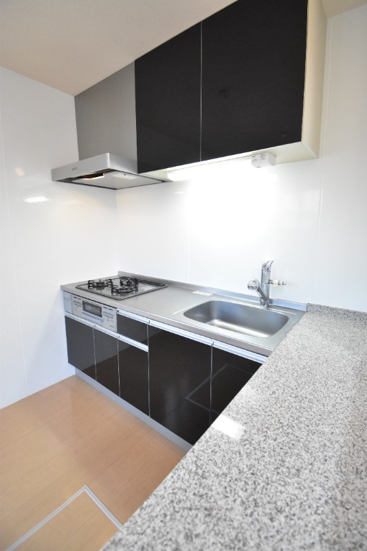 ��ʌ�����s�˒˓��S���ڂ̃A�p�[�g�̃L�b�`��