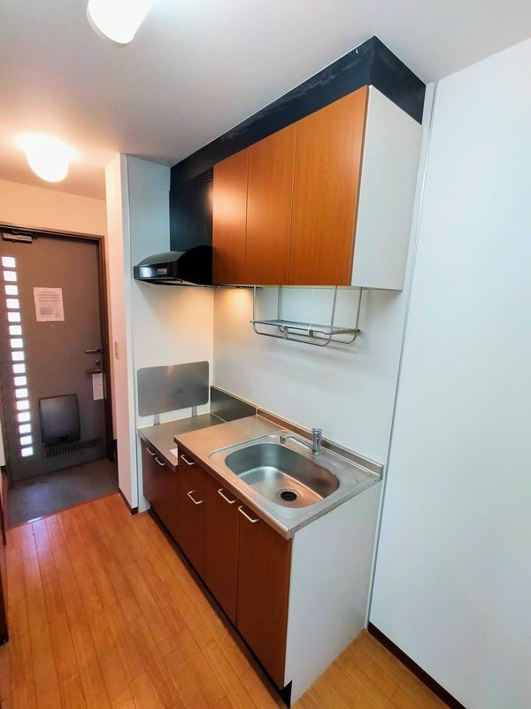 ��ʌ��������܎s������厚�@���̃A�p�[�g�̃L�b�`��