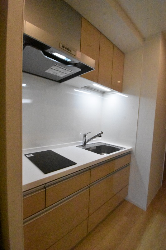 ��ʌ��k�����S�ɓޒ��h�S���ڂ̃A�p�[�g�̃L�b�`��