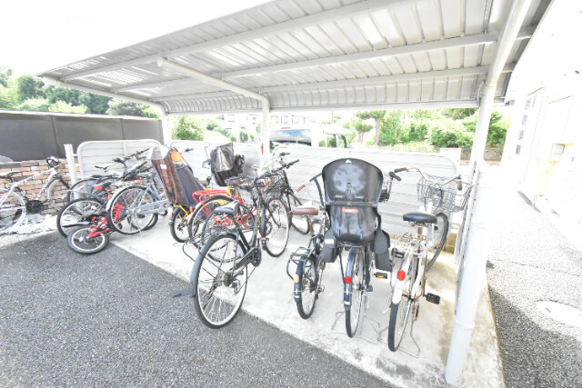 ��ʌ�����s�厚������̃}���V�����̂��̑�