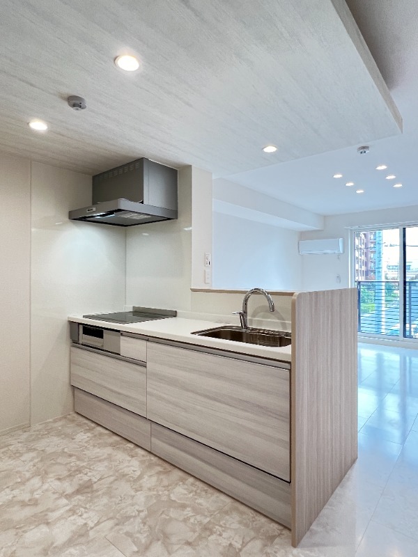 ��ʌ��z�J�s�V�z�J�P���ڂ̃A�p�[�g�̃L�b�`��