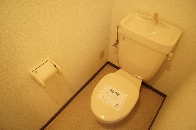 ��ʌ��������܎s����厚����v�ۂ̃}���V�����̃g�C��