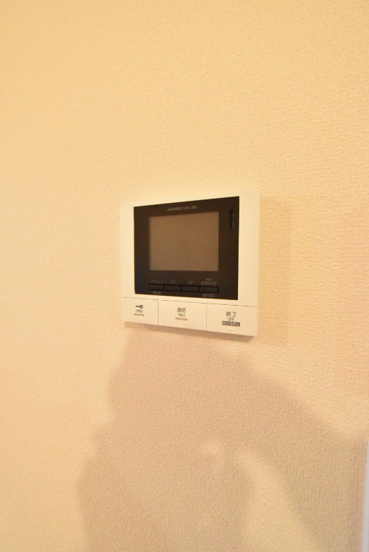 ��ʌ��z�J�s�z���J�T���ڂ̃}���V�����̂��̑�