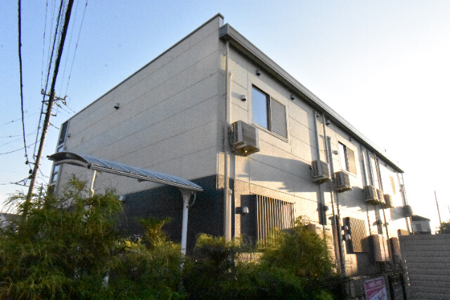 ��ʌ�����s�厚�����̃}���V�����̂��̑�