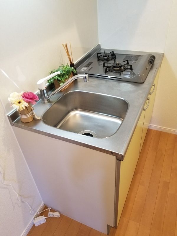 ��ʌ��t�����s�l��˂Q���ڂ̃A�p�[�g�̃L�b�`��