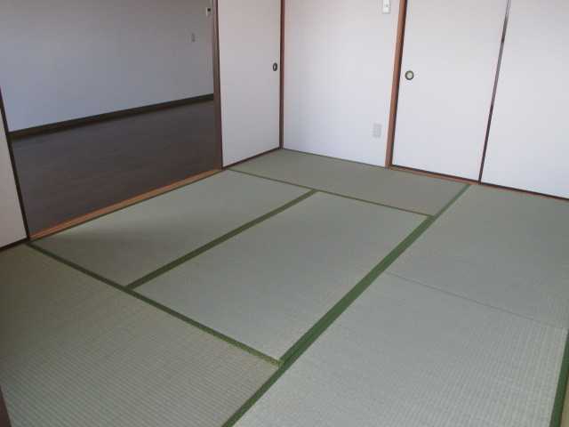 ��ʌ�����s��c�{�̃}���V�����̂��̑�