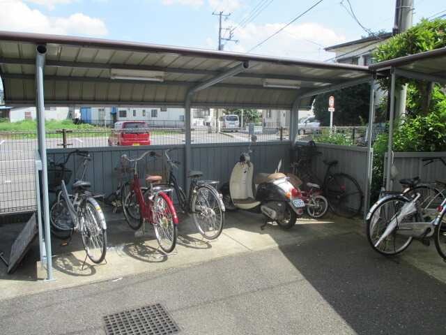 ��ʌ�����s��c�{�̃}���V�����̂��̑�