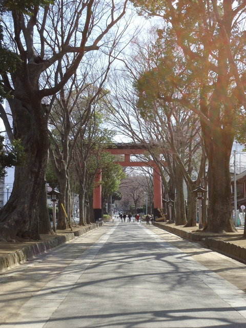 ��ʌ��������܎s��{��㏬���̃A�p�[�g�̎���