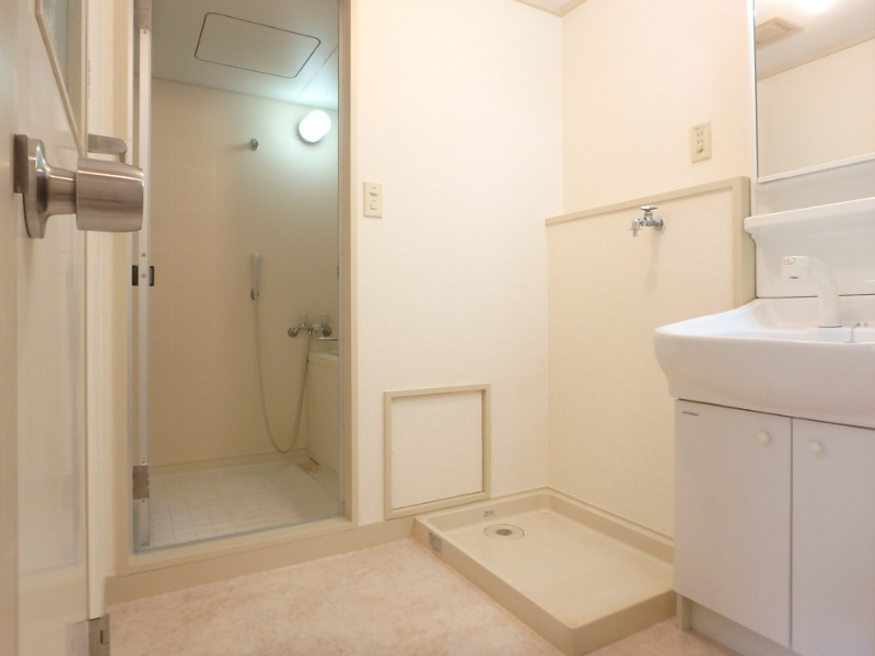 ��ʌ��������܎s������{�����P���ڂ̃}���V�����̂��̑�