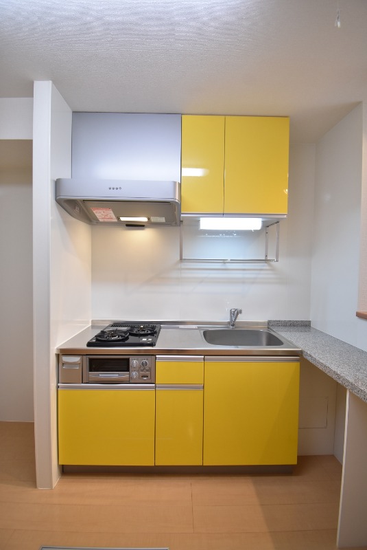 ��ʌ��������܎s����厚����{���̃A�p�[�g�̃L�b�`��