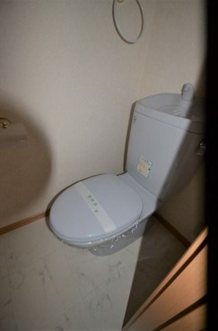 ��ʌ��k�����S�ɓޒ��厚�����̃^�E���n�E�X�̃g�C��