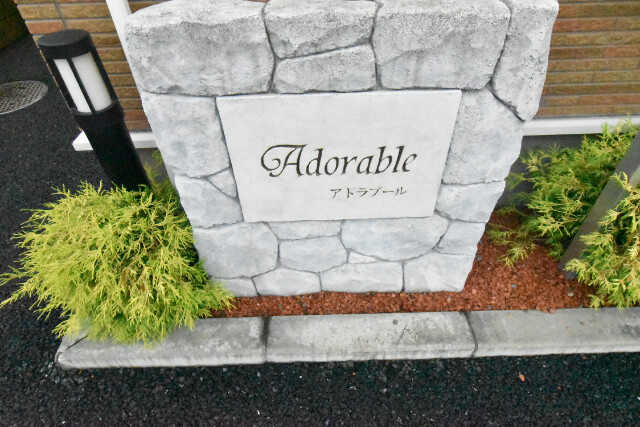 ��ʌ�����s�厚�_�˂̃A�p�[�g�̃G���g�����X