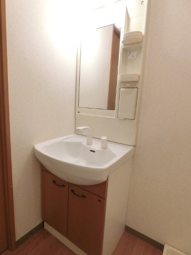 ��ʌ��������܎s��΋挴���̃}���V�����̐��ʏ�