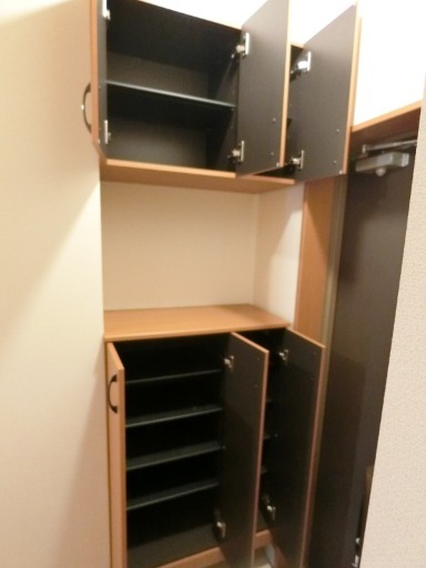 ��ʌ��������܎s��΋挴���̃}���V�����̂��̑�