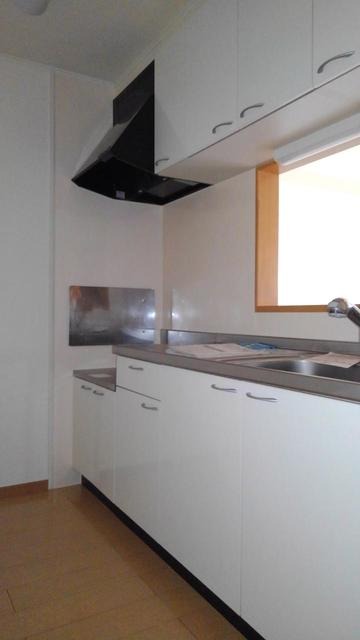 ��ʌ��������܎s��΋�약��T���ڂ̃A�p�[�g�̃L�b�`��