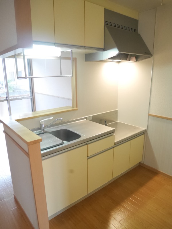 ��ʌ������s���Q���ڂ̃A�p�[�g�̃L�b�`��