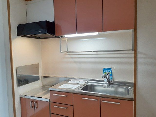 ��ʌ��z�J�s�_�����Q���ڂ̃A�p�[�g�̃L�b�`��