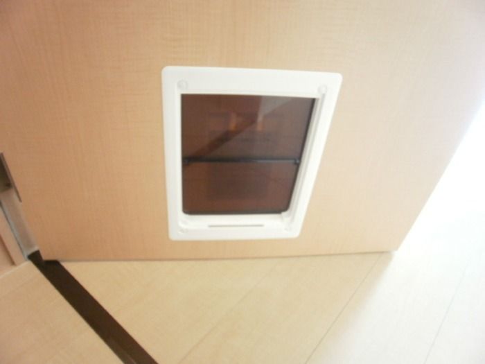 ��ʌ��k�����S�ɓޒ������R���ڂ̃A�p�[�g�̂��̑�