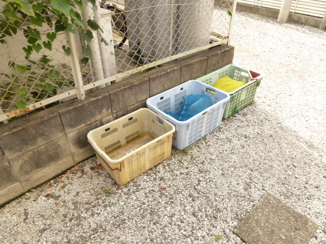 ��ʌ��u�؎s�K���P���ڂ̃A�p�[�g�̂��̑�