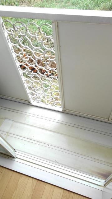 ��ʌ��@�c�s���m�؂P���ڂ̃}���V�����̃o���R�j�[