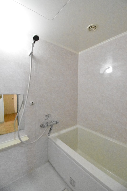 ��ʌ��������܎s������厚���[��̃}���V�����̃o�X