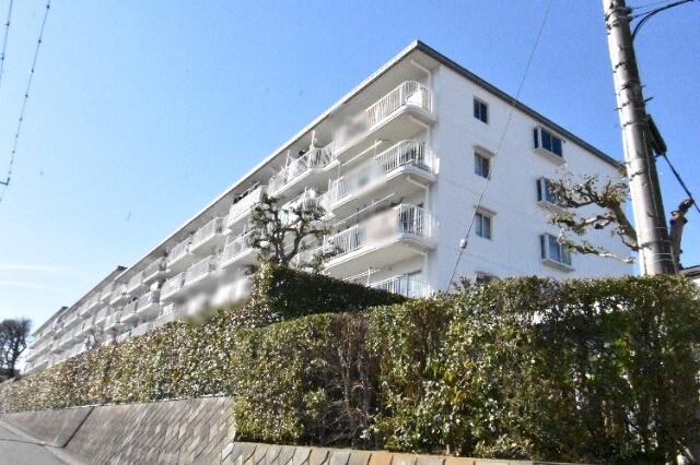 ��ʌ��������܎s������厚���[��̃}���V�����̌����O��