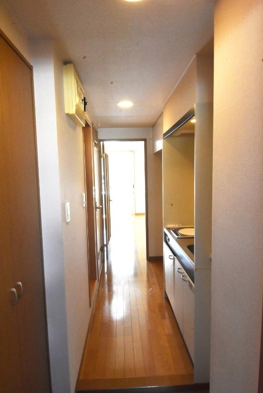 ��ʌ��������܎s��{��g�~���S���ڂ̃}���V�����̌���