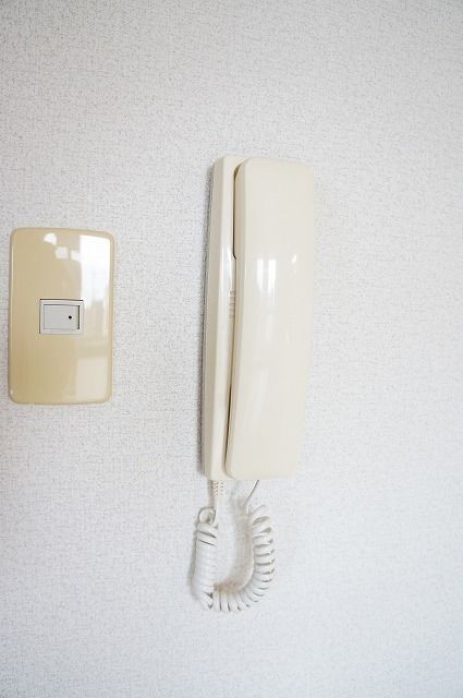 ��ʌ�����s��c�{�̃}���V�����̂��̑��ݔ�