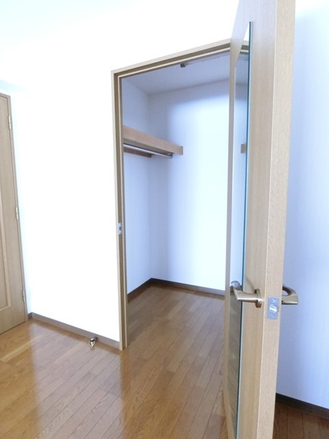 ��ʌ�����s���V���̃}���V�����̎��[