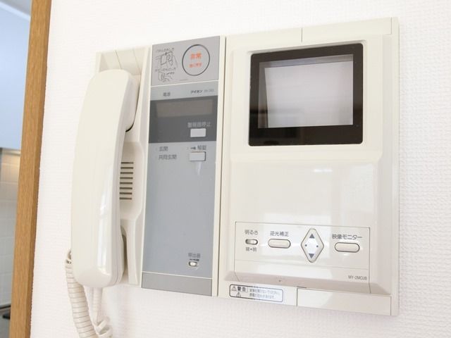 ��ʌ�����s���V���̃}���V�����̂��̑�